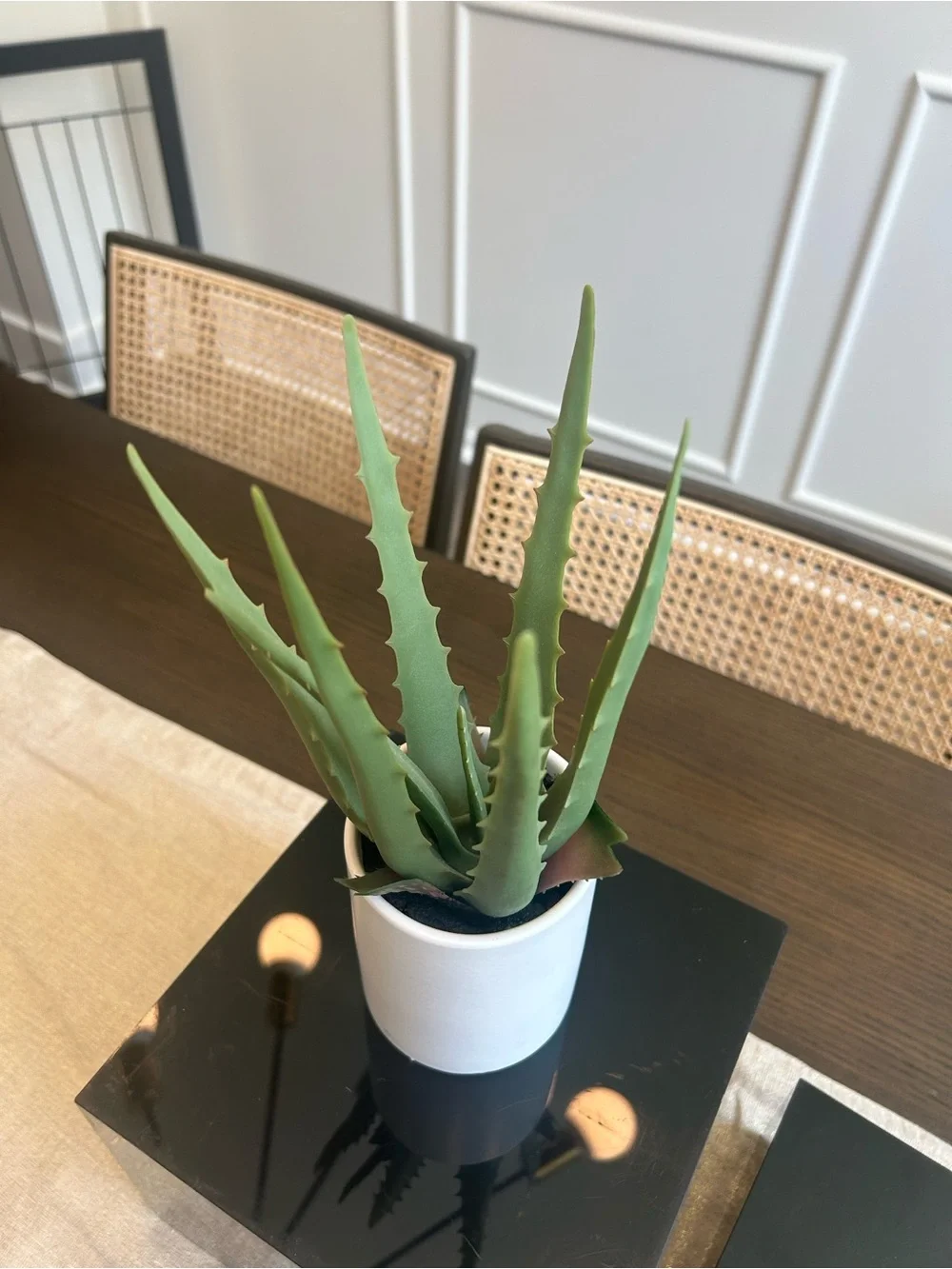 Faux Aloe Vera Plant in White Ceramic Pot | Modern Minimalist Decor